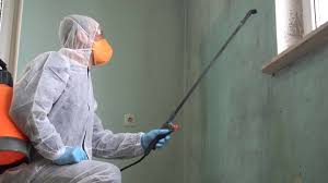 Reliable Elmwood Park, NJ Mold Removal & Remediation Solutions